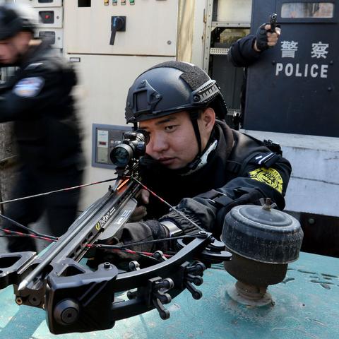 天降福犬旺全家（30集）