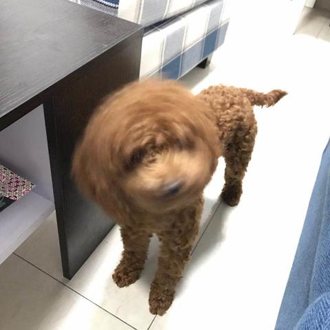 05(1)(1)(1)(1)(1)(1)(1).狗子女士的惩罚（60集）江离＆江炘