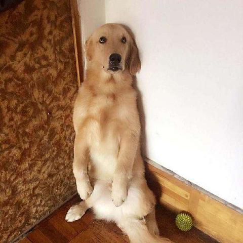 05(1)(1)(1)(1)(1)(1)(1).狗子女士的惩罚（60集）江离＆江炘