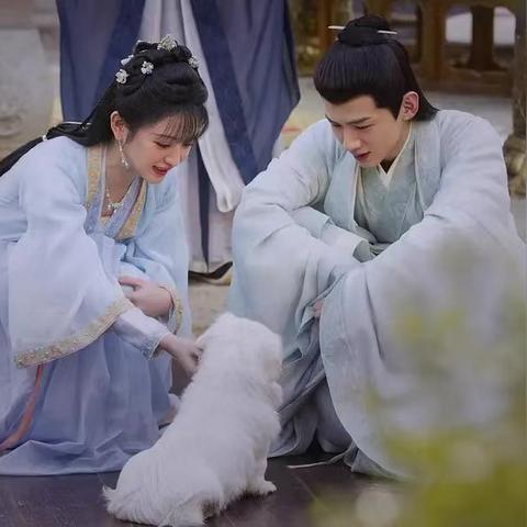 卿卿日常电视剧免费观看全集在线观看（卿卿日常电视剧全集在线免费观看）