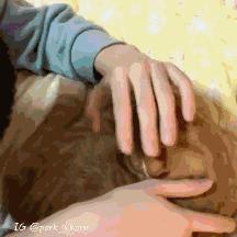 亲亲日常电视剧免费观看（亲亲日常，一部免费观看的温馨电视剧）