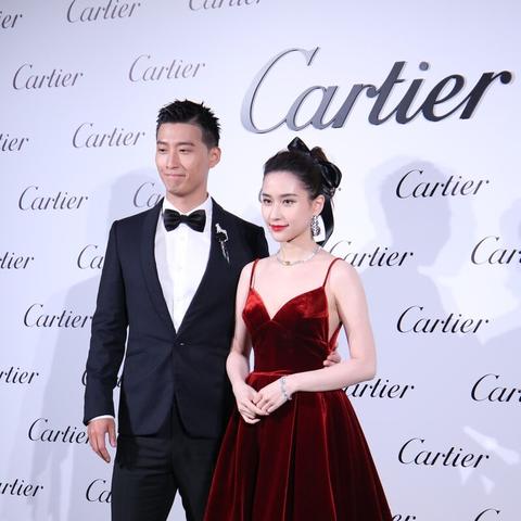 白鹿和敖瑞鹏（白鹿与敖瑞鹏，自然与影视的交融）