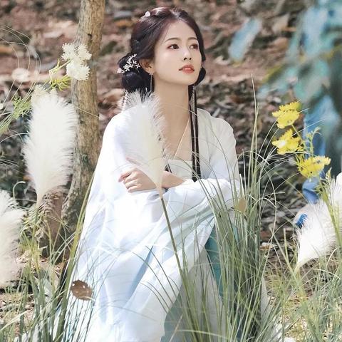 白鹿敖瑞鹏（白鹿与敖瑞鹏，光影交织下的传奇故事）