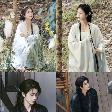 敖瑞鹏白鹿（敖瑞鹏与白鹿，星光熠熠的影视新星）