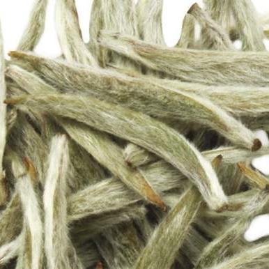 白茶功效（白茶功效，探索其独特的健康益处）