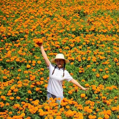 白月繁星（白月繁星，夜空中的诗意画卷）