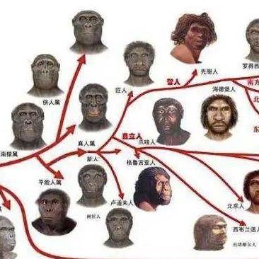 真实抢先看（真实抢先看，探索未知的奥秘）