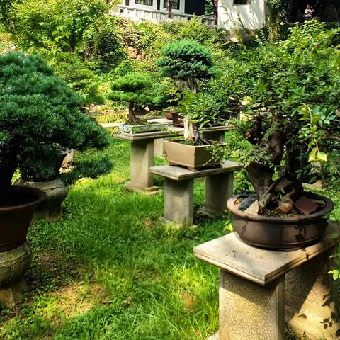 生命水書齋線上看（生命水与书斋，线上探寻之旅）