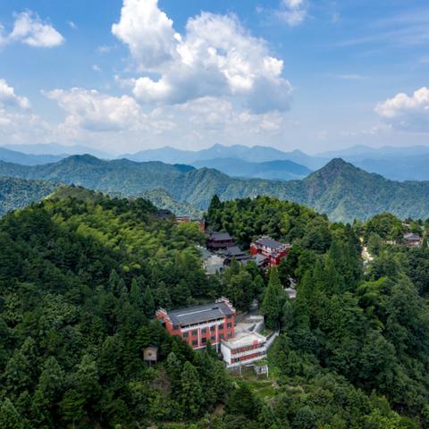 在线观看（在线观看，重塑娱乐与学习的全新体验）