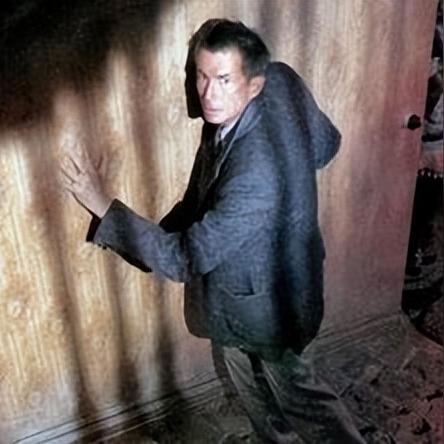 免费电影（免费电影的魅力与影响）