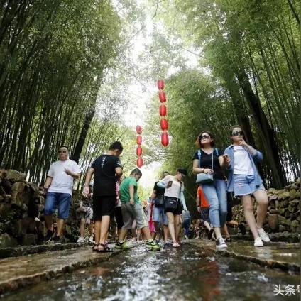 逍遥 全集（逍遥之旅，探索全集的奥秘）