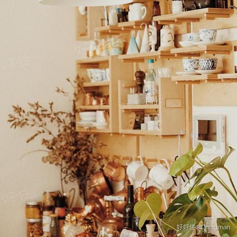 洞洞 杂货 铺 动漫 全集 在线 阅读（洞洞杂货铺，在线阅读动漫全集的新天地）