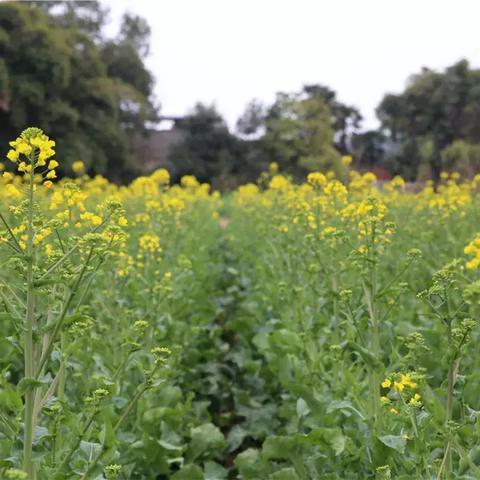 光影电视剧在线观看 全集（光影交织，电视剧在线观看全集的魅力）