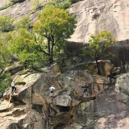 悬崖电视剧在线观看免费完整版免费（悬崖电视剧在线观看免费完整版，探索紧张刺激的剧情之旅）