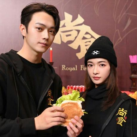 延禧攻略百度网盘（延禧攻略百度网盘，探寻经典之作的珍藏版）