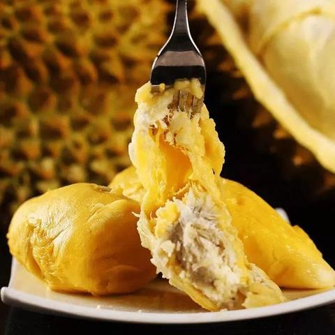 動画 大 全集（动画大全集，探索无尽的视觉盛宴）