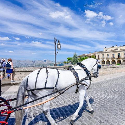 悬崖在线观看免费完整版（悬崖在线观看免费完整版，探险与生存的壮丽篇章）