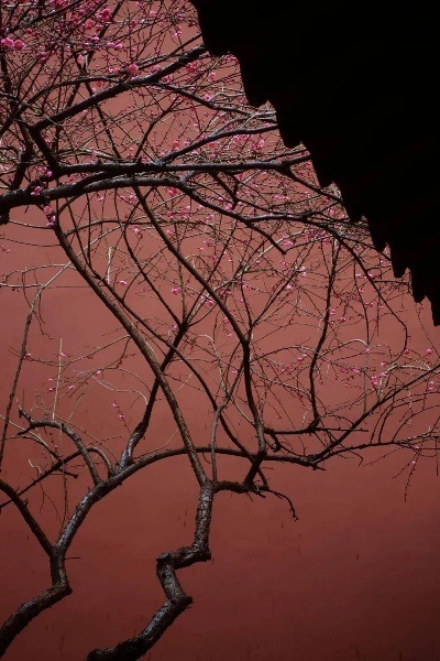 朱墙两面花＆她栖明月台（63集）潘钰涵＆田杨