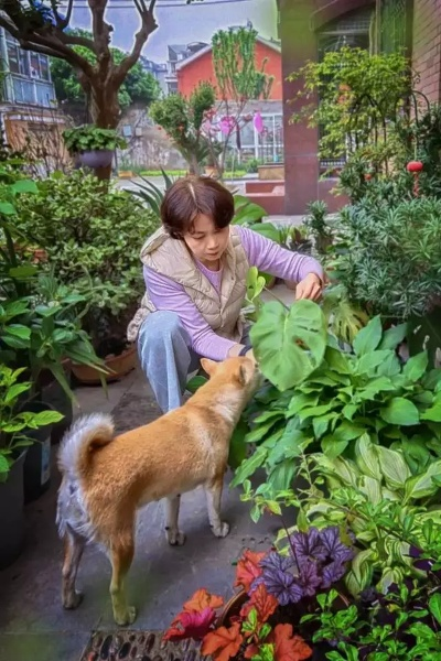 养花十年终成空（68集）吕洁＆苏宇