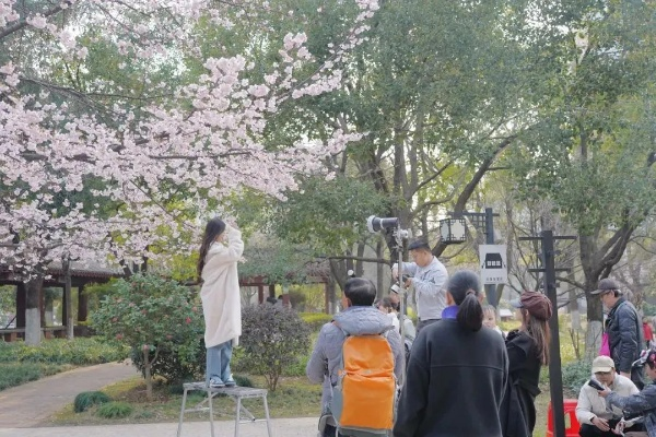 仙界顶流她下凡了（60集）申晴＆向阳