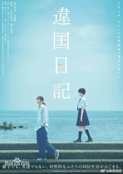 异国日记 在线观看（异国日记，在线观看的魅力与体验）
