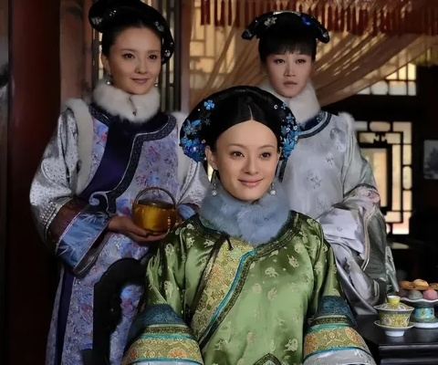 后宫·甄嬛传 在线观看（在线观看〈后宫·甄嬛传〉，深度解析古代宫廷文化）