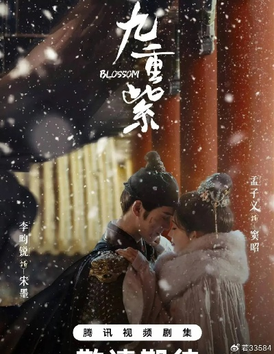 九重紫电视剧在线观看免费观看（九重紫电视剧，在线免费观看的奇幻之旅）