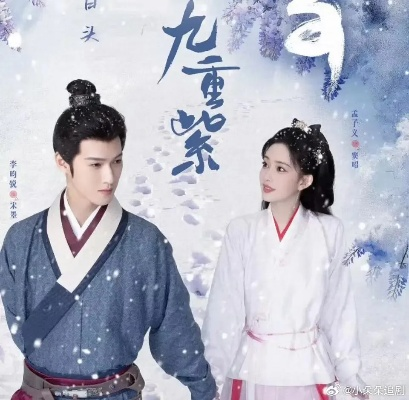 九重紫电视剧免费观看星辰影院（九重紫，星辰影院免费观看电视剧的魅力之旅）