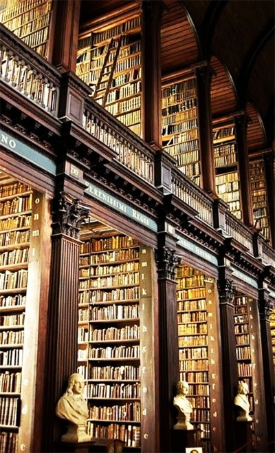 安娜的图书馆（安娜的图书馆，知识的海洋与心灵的港湾）