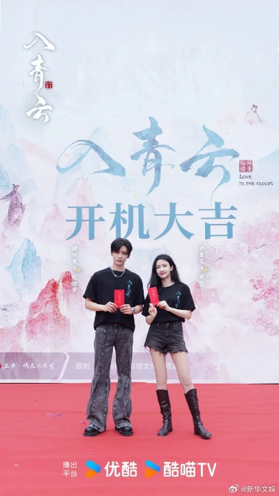 入 青云 电视 剧 在线 观看（青云电视剧在线观看，探索精彩的视听世界）