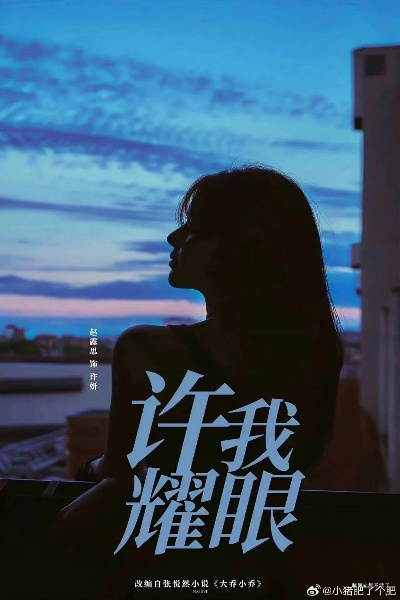 許我耀眼（许我耀眼的光芒）