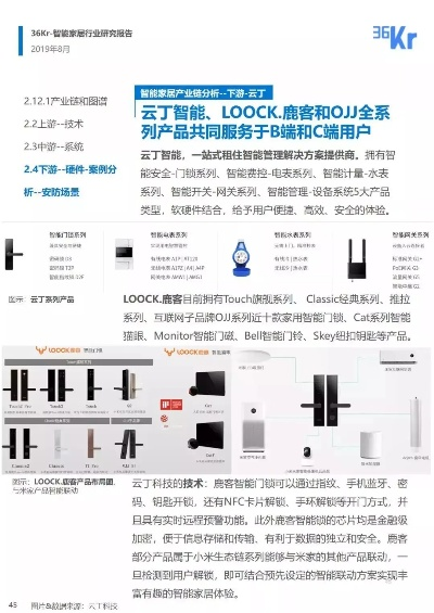 seetong（智能监控的未来，Seetong的潜力与前景展望）