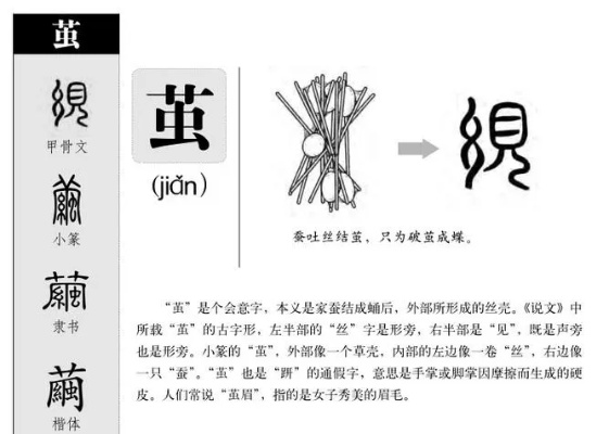 剥茧怎么读（剥茧探音——正确解读剥茧的读音）