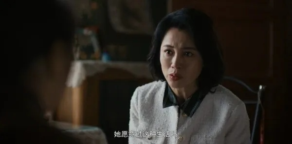 剥茧电视剧一共多少集（剥茧，深度解析电视剧集数与剧情魅力）