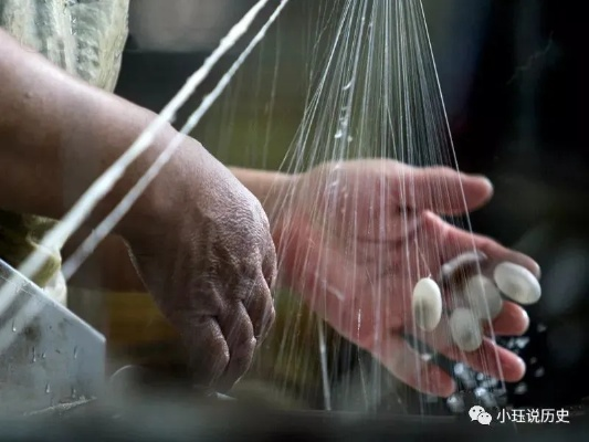 剥茧在哪看（剥茧抽丝，深度探索剥茧现象及其观看途径）