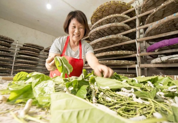 剥蚕（剥蚕，古老工艺与现代应用）