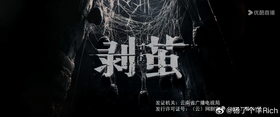 剥茧 在线播放（剥茧，深度解析与在线播放体验）